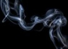 Kwikfynd Drain Smoke Testing
taylorsbeachqld